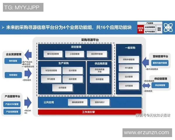 南京篮球队的转型之路与未来发展展望解析